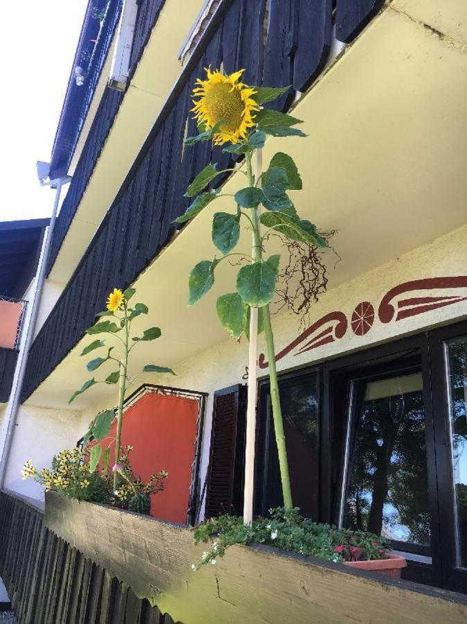 Ferienwohnung Hani Spiegelau Exterior foto